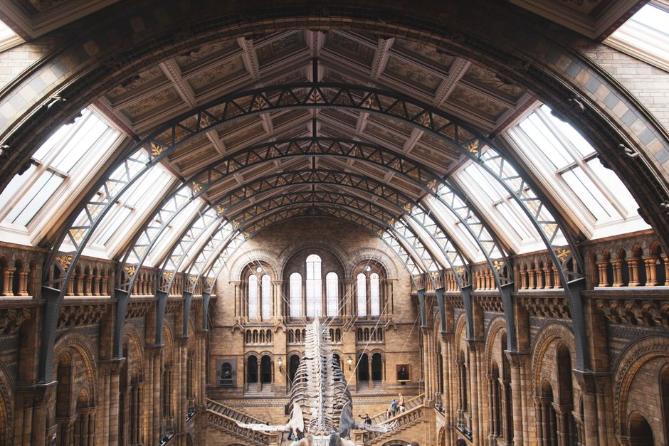 Street Art Creative Districts: Your Complete Guide to London's Best Local Experiences Right Now