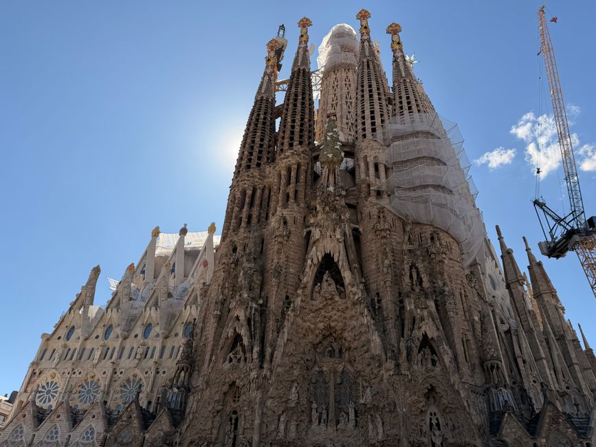 Behind the Scenes: The Data Statistics and Numbers Behind Barcelona's Duplicate Image Replacement