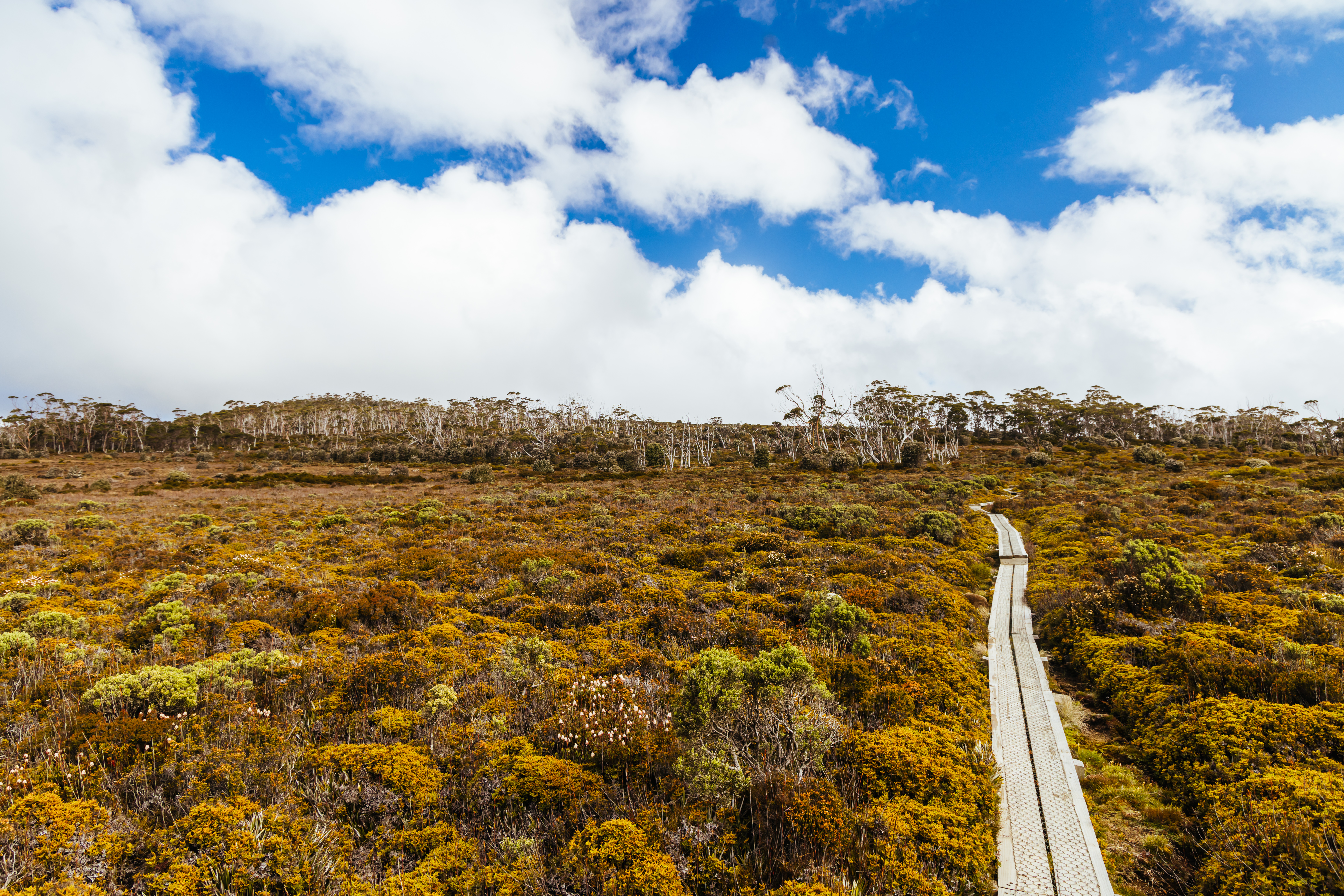 Tasmania's Migration Surge Sparks Fresh Calls for Infrastructure Investment, Officials Warn