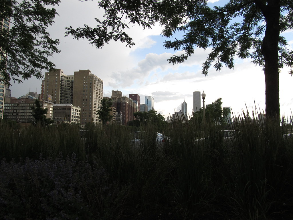 hydration in the local climate: how much and what to drink