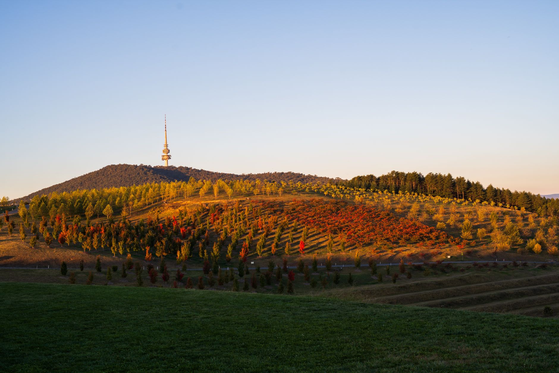 Canberra's compliance boom: how local consultants are cashing in on regulatory scrutiny