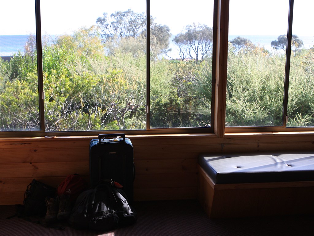 Getting Around Tasmania 2026: Buses, Ferries, Driving and Cycling Explained