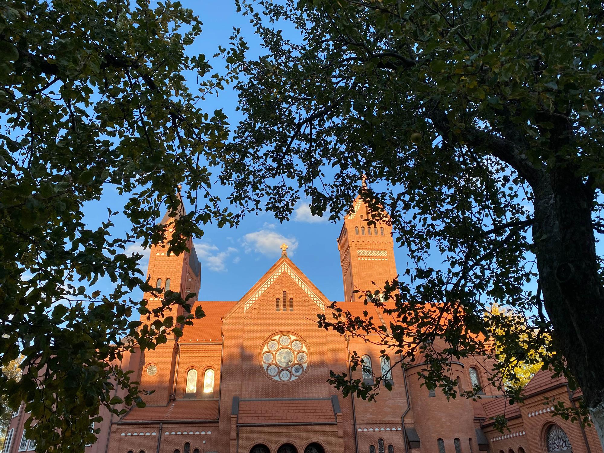 Melbourne Schools Guide: Public, Catholic, Independent Options Explained