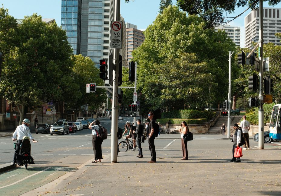 Canberra Agencies Waste Millions on Duplicate Stock Photos, Launch Fix