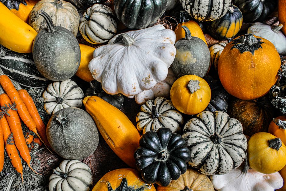 Winter's bounty: Five seasonal recipes using local Illawarra produce available right now