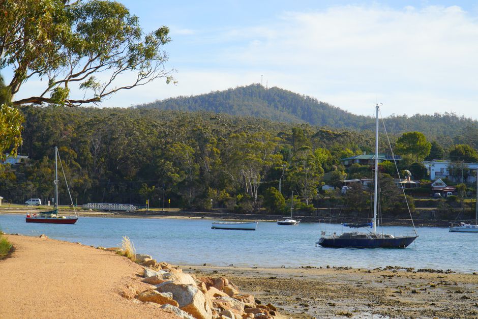 Tasmania's Bar Scene Is Booming Again—Here's Why Locals Can't Get Enough