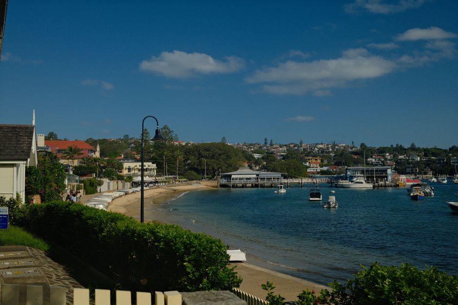 Best dog friendly beaches Sydney suburbs 2026 guide
