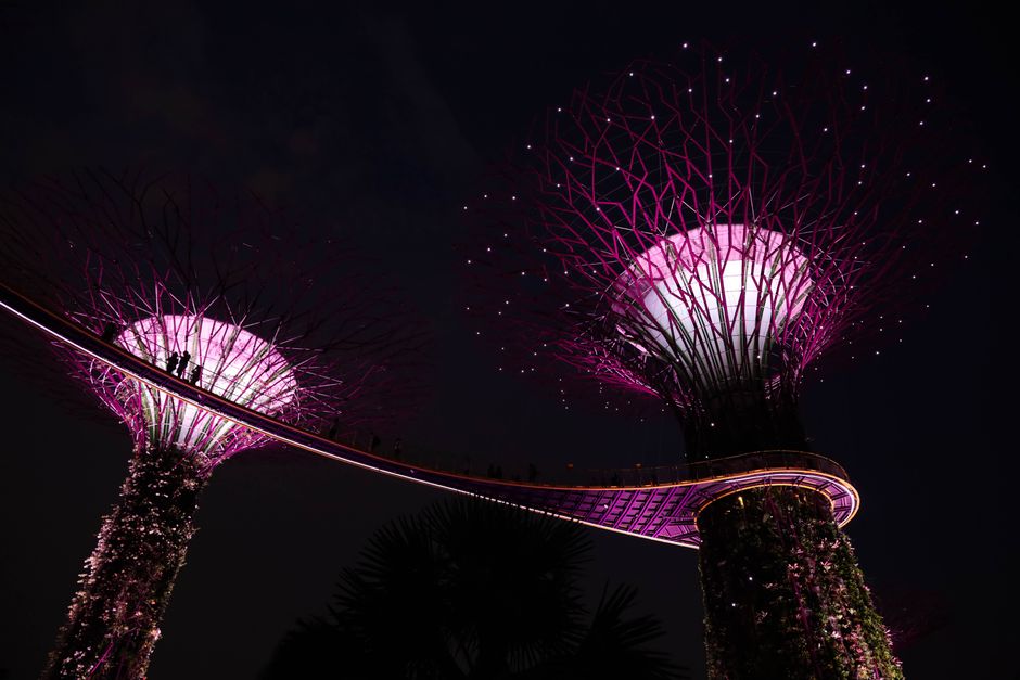 Gardens by the Bay Guide: Singapore's Must-See Attraction