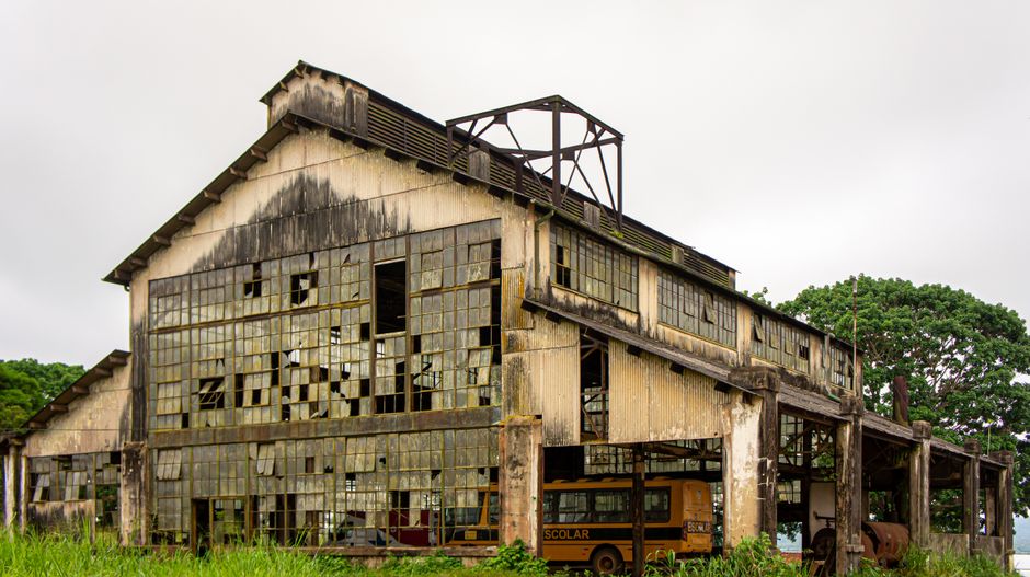 From Industrial Decay to Cultural Hub: The History and Evolution of the Johannesburg Arts Scene
