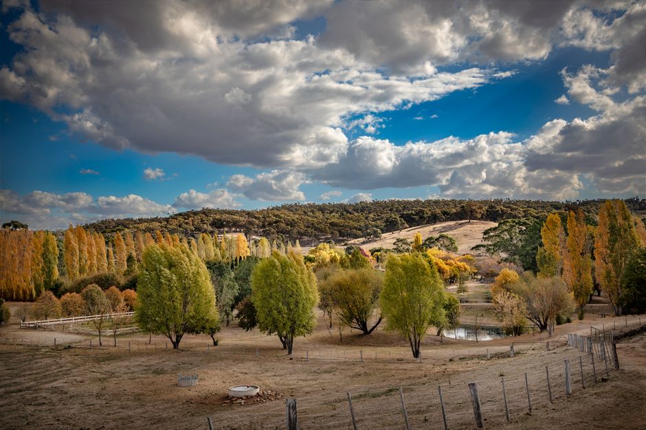 Kangaroo Flat Property Prices: Bendigo's Affordable Growth Suburb