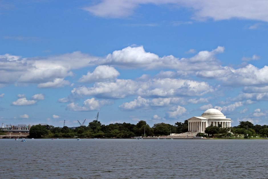 DC Crime Data Reveals Safety Gaps Across Neighborhoods