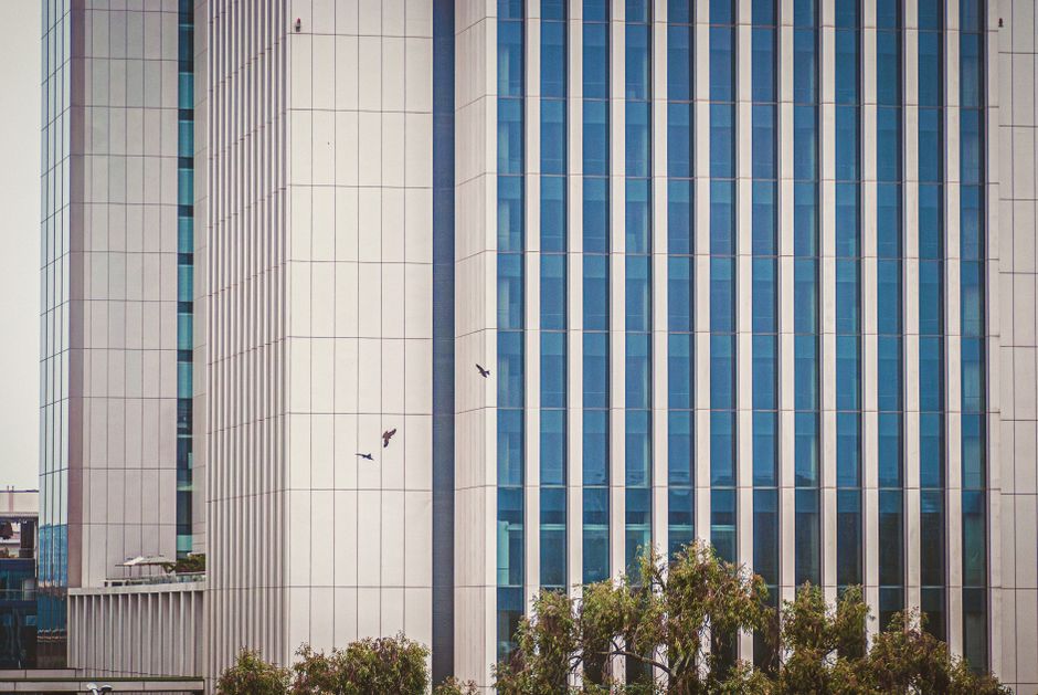 What Rising Office Rents Tell Us About Kenya's Economic Health