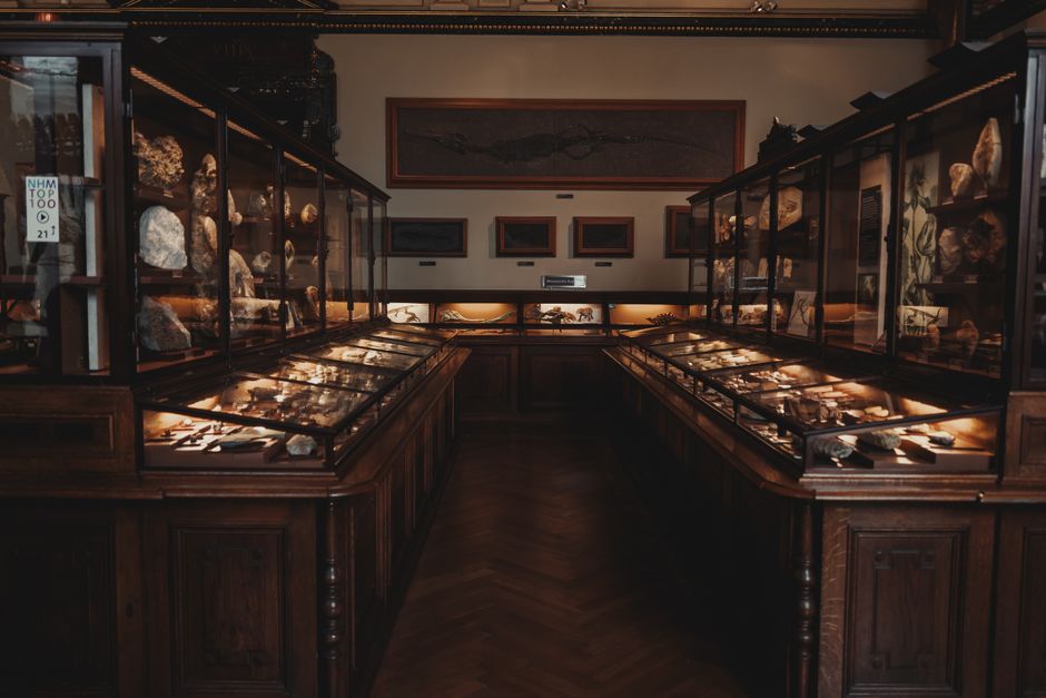 Best Museums in Hong Kong 2026 — From M+ to the Hong Kong Museum of History and the City's World-Class Cultural Institutions
