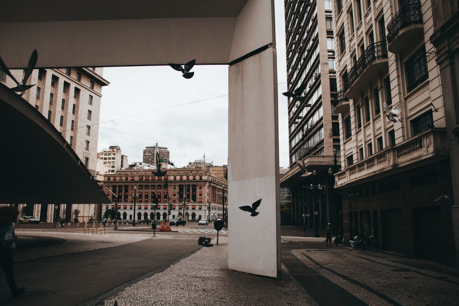 From Concrete Courts to Community Pride: How São Paulo's Grassroots Fitness Movement is Rewriting the Urban Gym Story