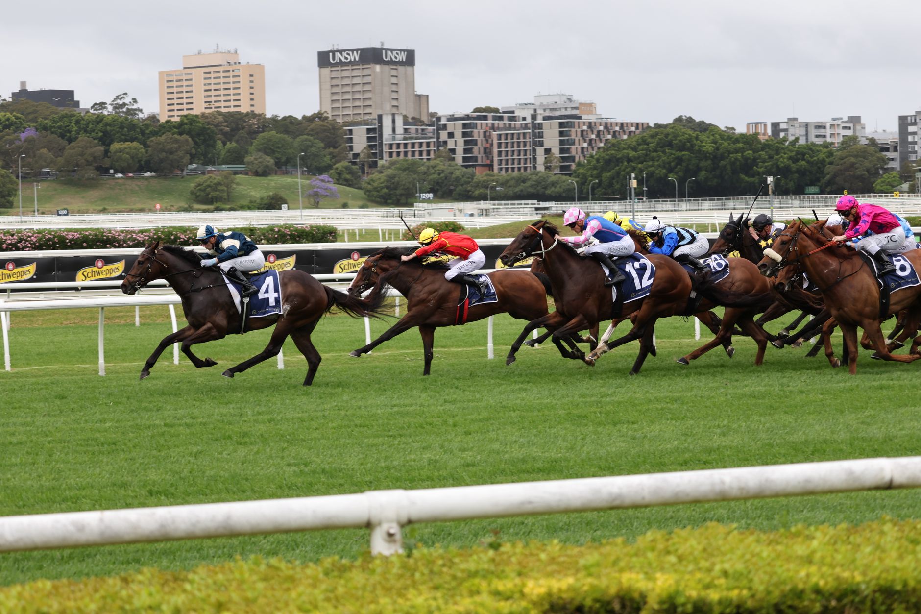 Royal Randwick and Rosehill: Sydney's Proud Horse-Racing Heritage