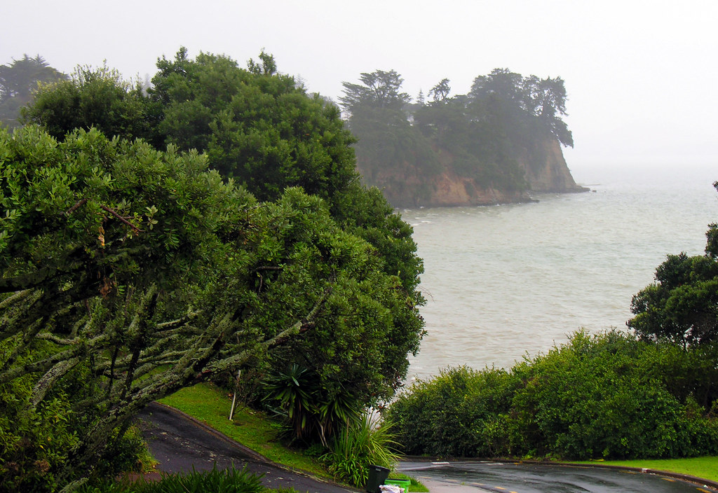 Auckland Winter Seasonal Activities Guide