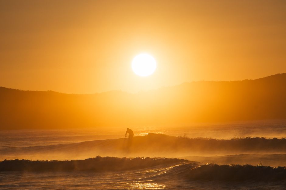 Laps, Surf Clubs and Open Water: What the Numbers Say About Central Coast's Aquatic Obsession