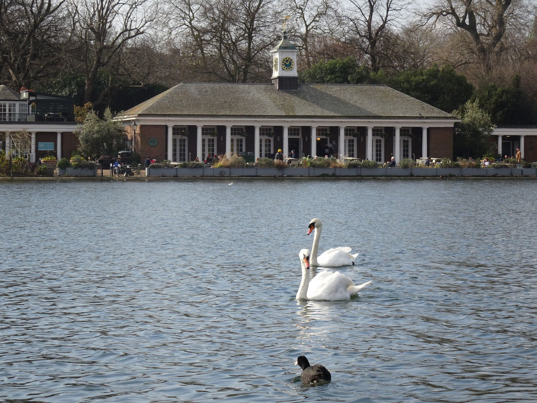 Stay Active Without Breaking the Bank: Your Guide to Free and Low-Cost Senior Wellness in London