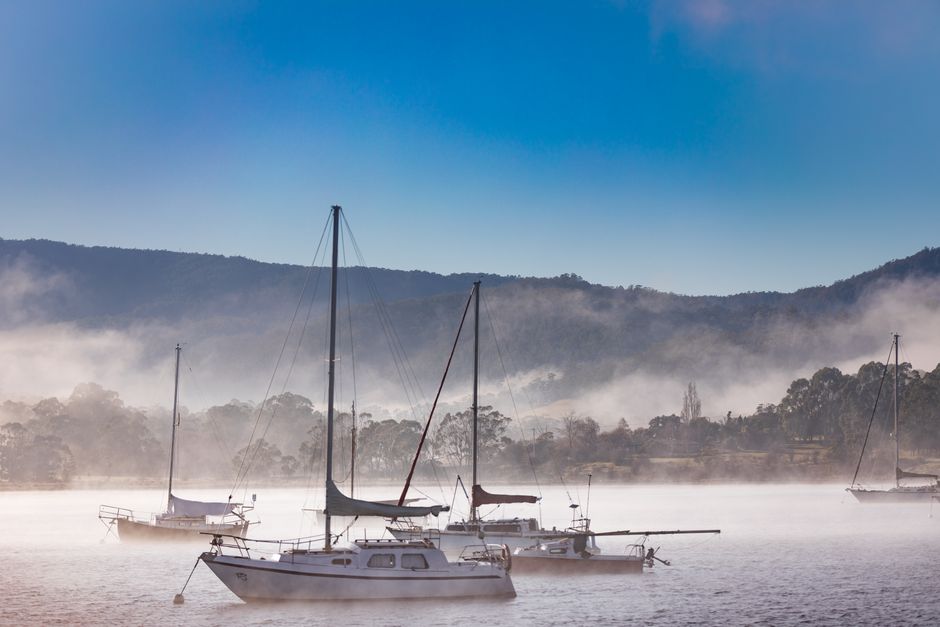 Why Tasmanian Parents Are Falling Back in Love With Family Life in the City