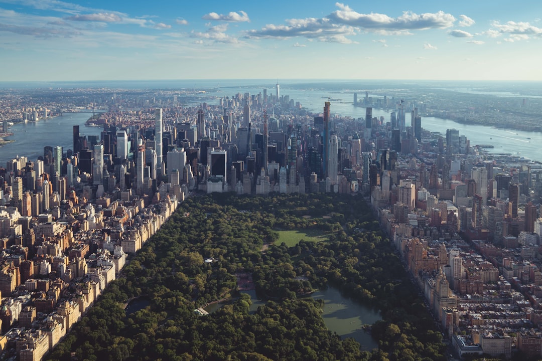 NYC's Duplicate Image Problem: What Officials, Experts and Key Figures Are Saying