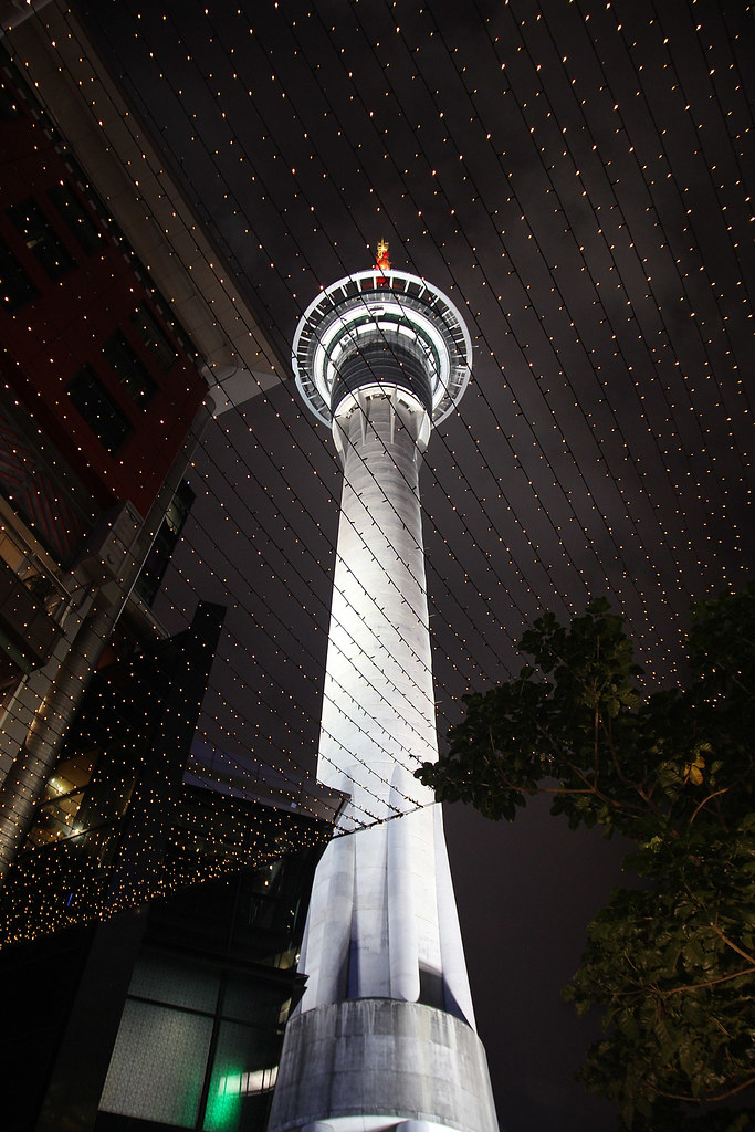 GP vs Psychologist vs Counsellor: Auckland Guide