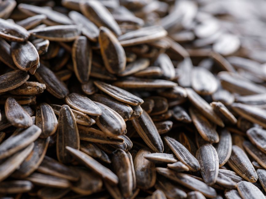 Magnesium deficiency signs and food sources: why Sydney's wellness warriors need to know the symptoms