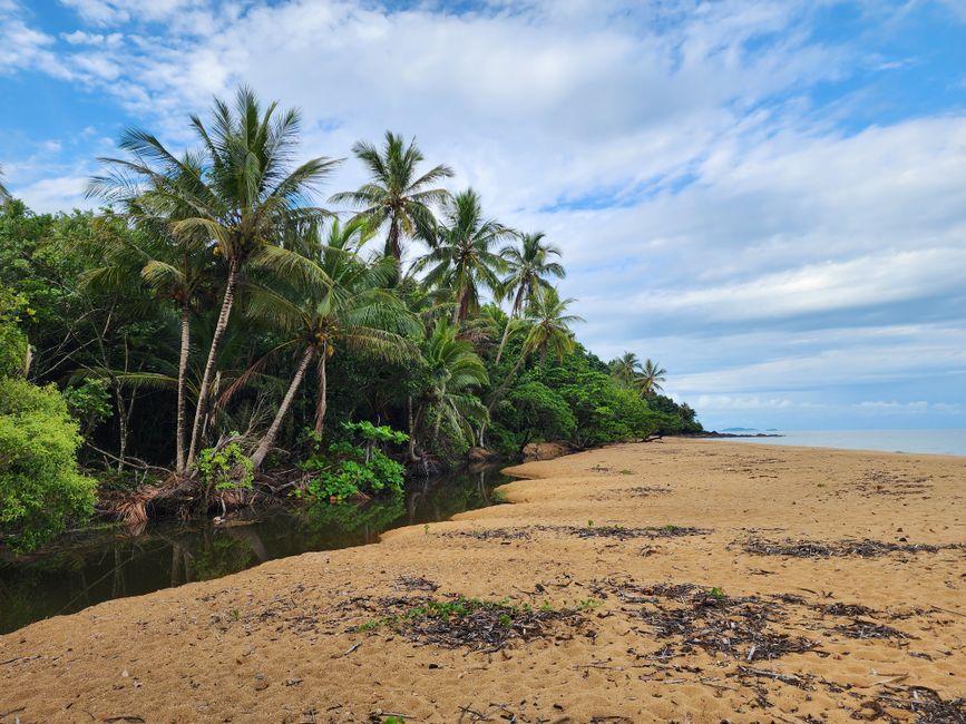 Darwin Residents Cut Stress Using Beach Swims and Mindfulness Practices