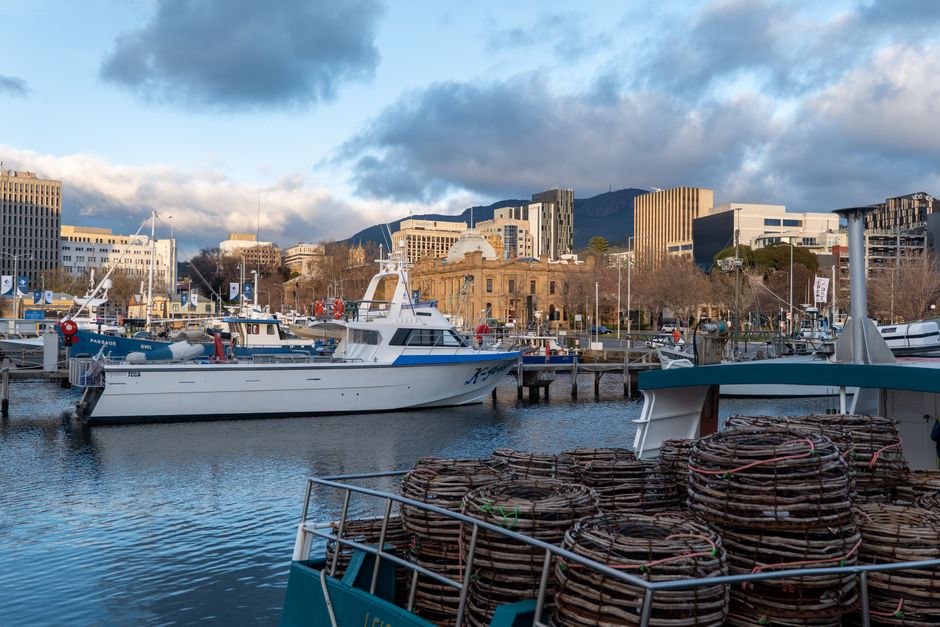 From Margins to Mainstream: How Grassroots Organisers Are Reshaping Tasmania's Festival Calendar