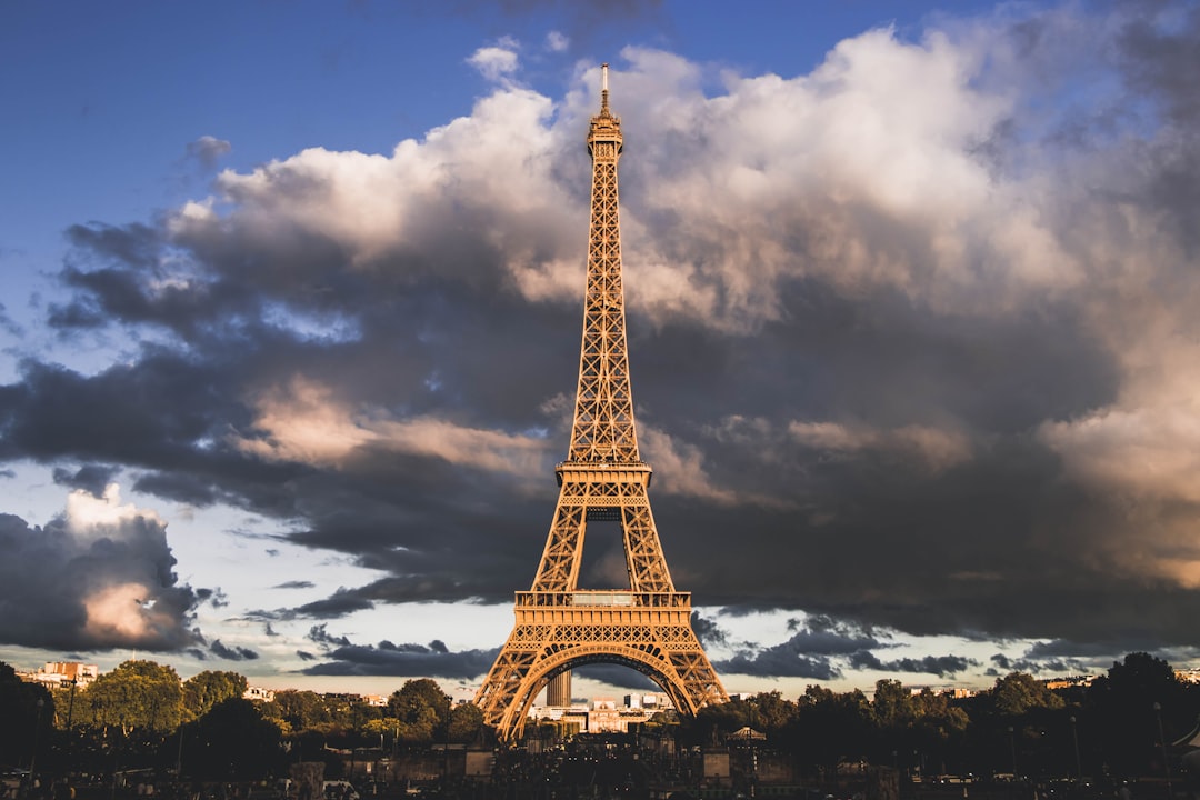 Paris Officials and Experts Weigh In on Duplicate Image Replacement