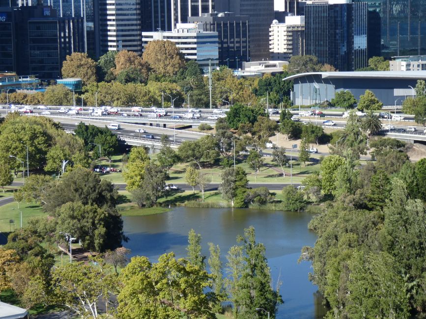 Your Complete Guide to Perth's Best Arts Galleries and Museums Right Now
