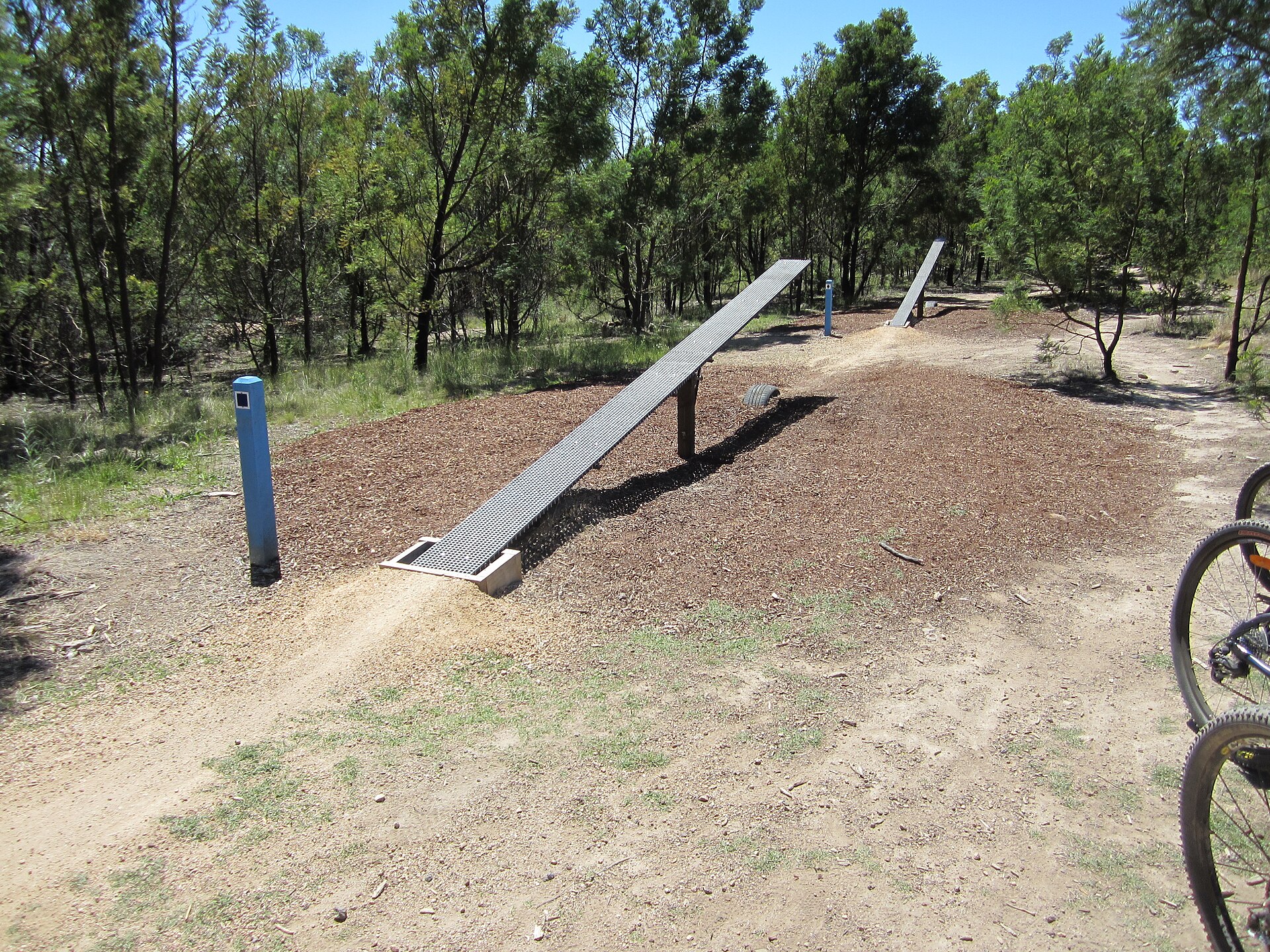 Cycling in Canberra: Clubs, Popular Routes and the Stromlo Forest Park Scene