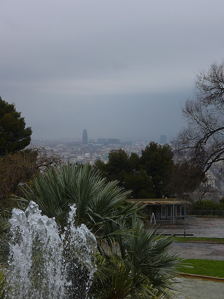 Barcelona Residents Cut Stress With Local Wellness Strategies