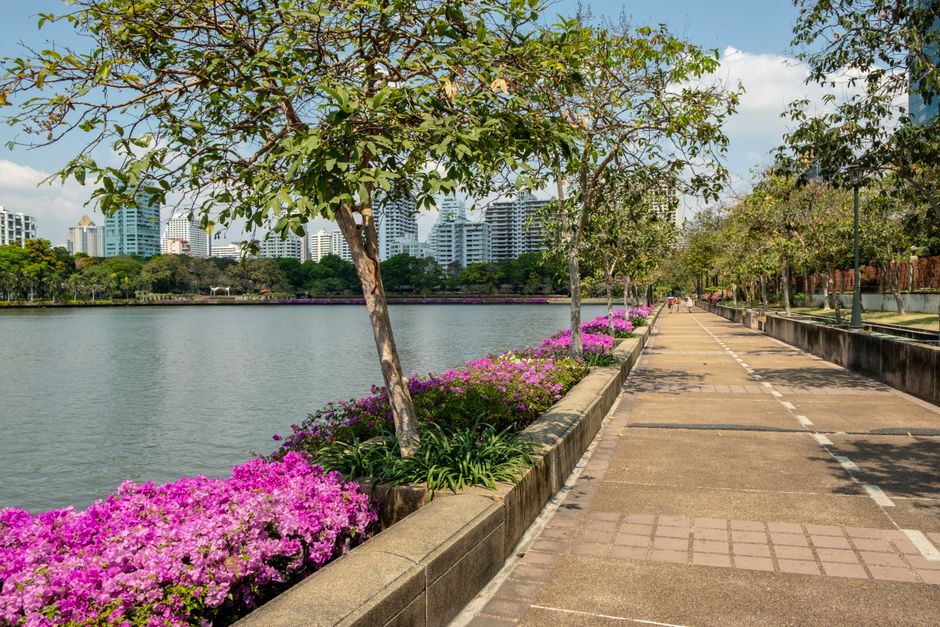 Bangkok's Parks Transform Into Free Wellness Sanctuaries for Millions