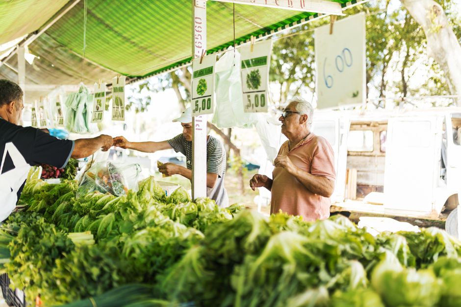 Wollongong Farmers Markets: Fresh Seasonal Produce Year-Round
