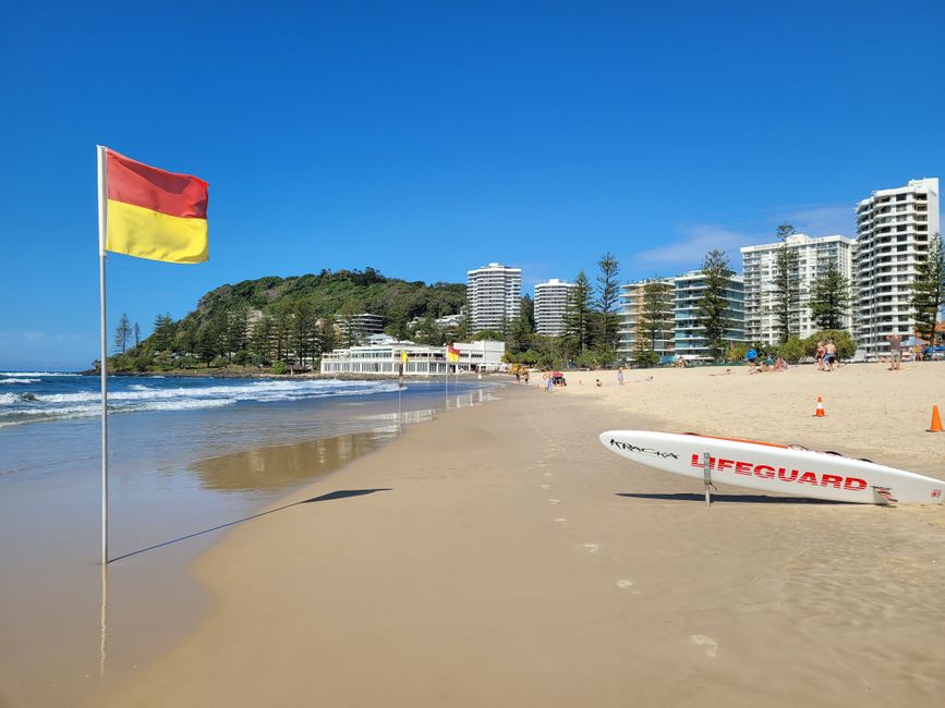 Gold Coast leaders call for faster migrant integration as arrivals surge
