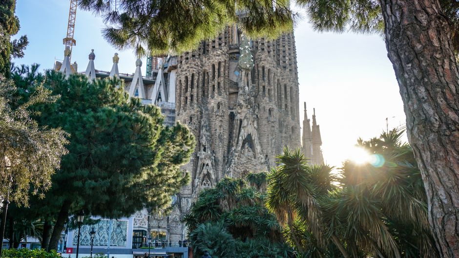From Mercat to Mindful Plate: How Nutrition Wellness is Reshaping Barcelona's Food Culture
