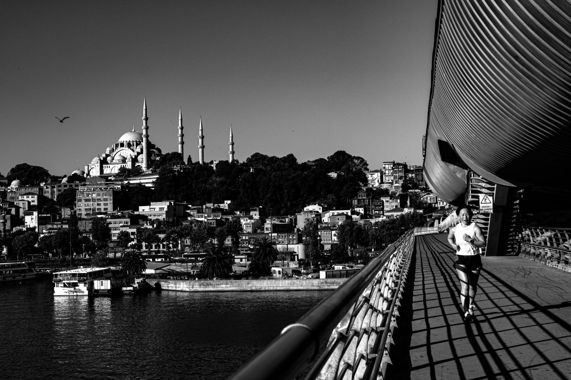 The Running Community You Should Know: Why Istanbul's Bosphorus Park Authority Has Become Essential for Trail Athletes