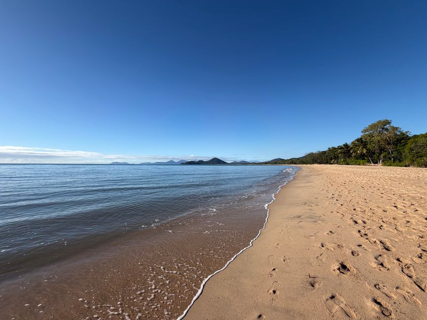 Behind the Numbers: The Data Statistics and Numbers Behind Townsville's Recovery Story