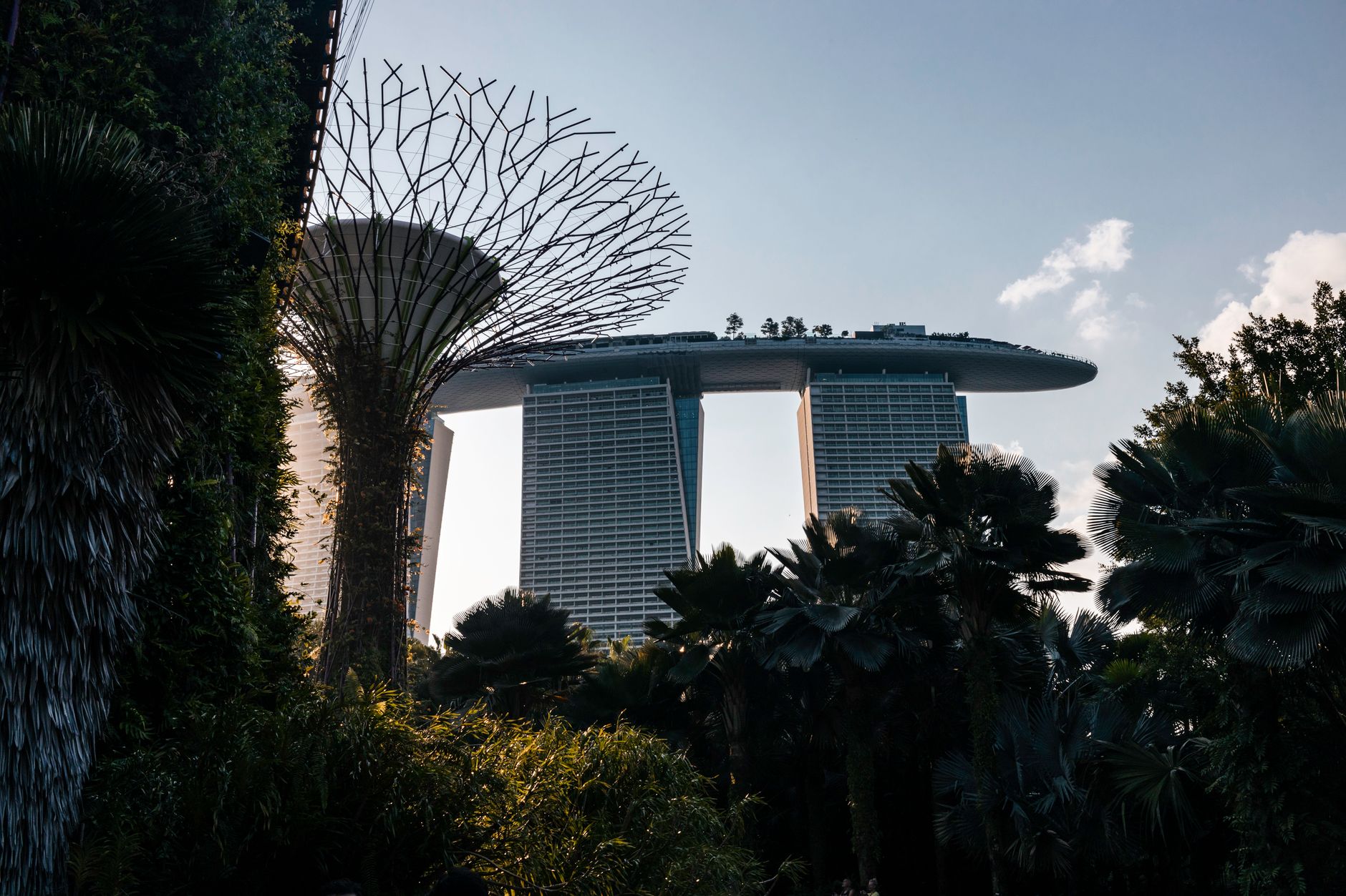 Singapore Moves to Crack Down on Duplicate Property Listings — But Other Global Cities Got There First