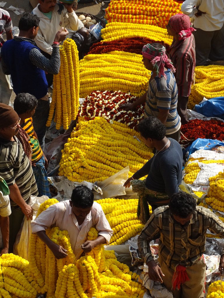 Kolkata Vendors Accept Pre-Auction Offers as Clearance Rates Soften