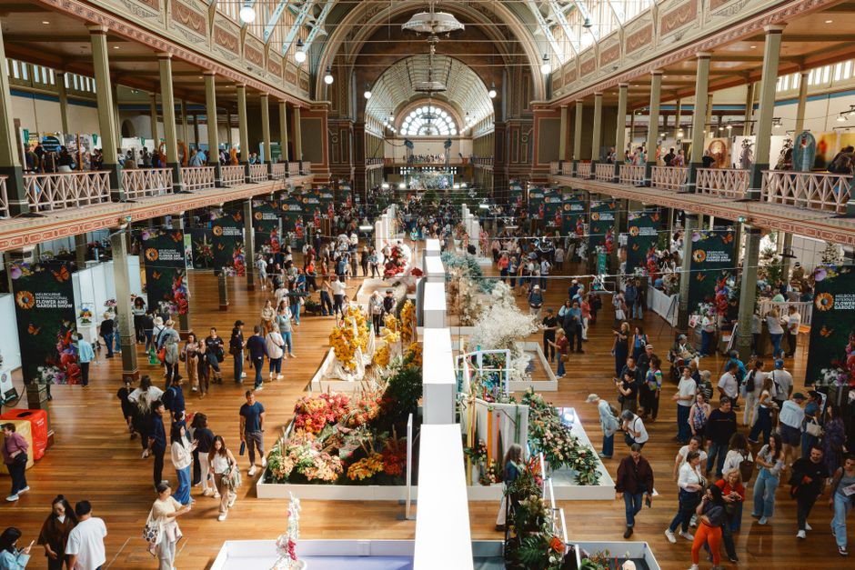 Plan Your Visit: The Essential Guide to Geelong's Festival Calendar and Must-See Highlights