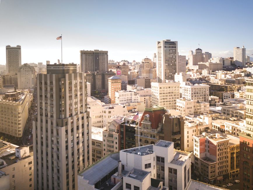 Farm-to-Table Meets Global Trends: How San Francisco's Nutrition Scene Compares Worldwide