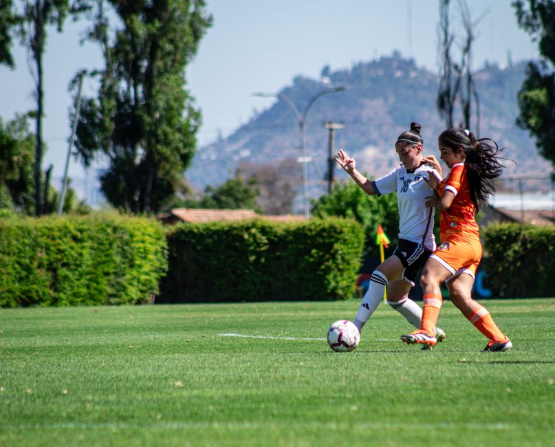 Breaking Into Santiago's Fitness Scene: Your Essential Guide to Getting Started