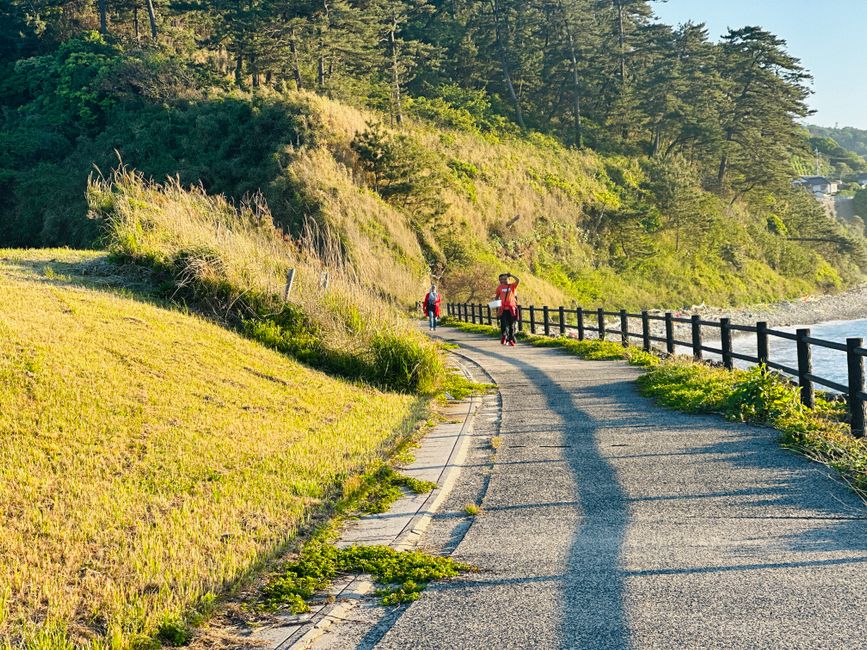 Top Walking Trails Rated by Distance and Difficulty