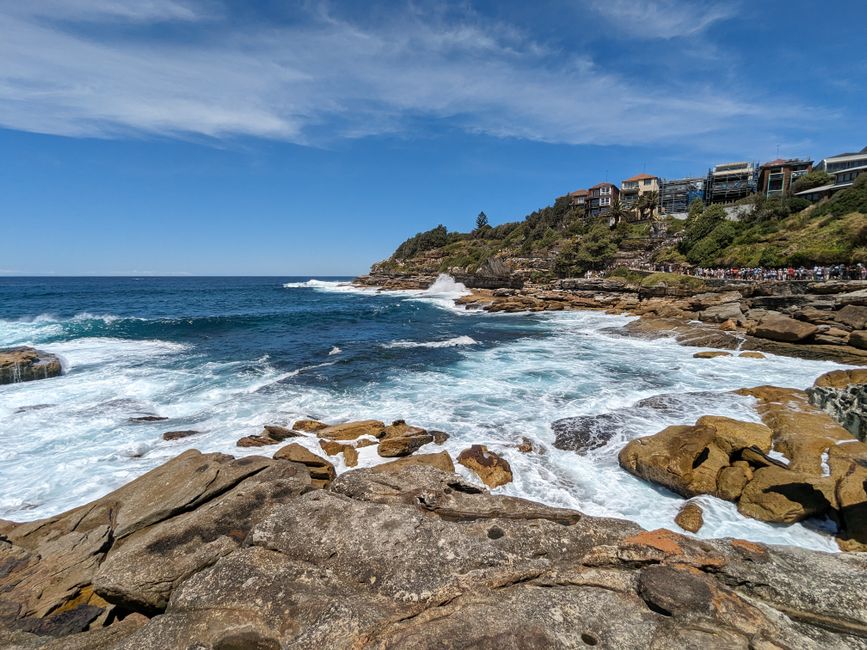 Sydney's Top Walking Trails Rated by Distance and Difficulty: A Local's Guide to Getting Active Outdoors
