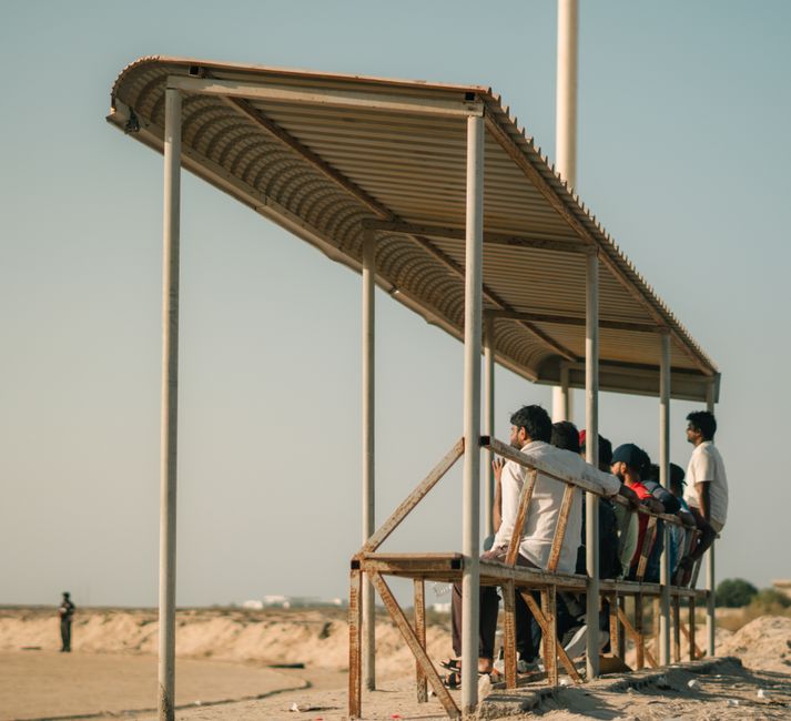 From Desert to Podium: What Dubai's Endurance Sports Data Reveals About Our Fitness Culture