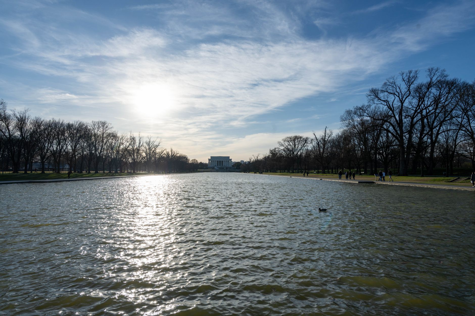 D.C.'s Population Shifts: New Data Reveals Who's Moving to the Capital