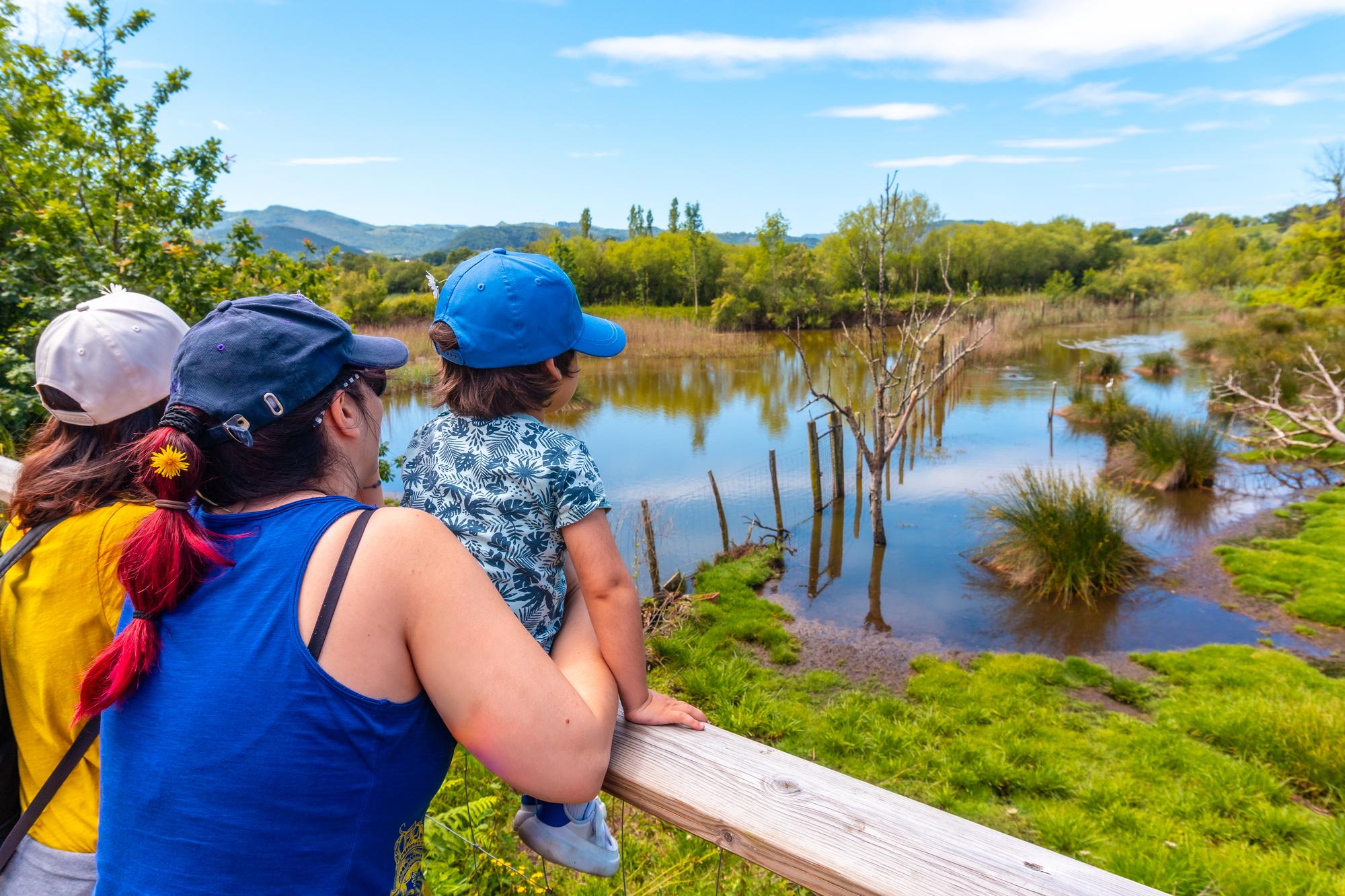 Discover 10 Best Things to Do in Toowoomba Today