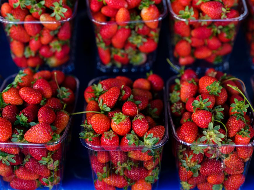 Canberra Farmers Markets: Fresh Winter Produce From Local Growers Now