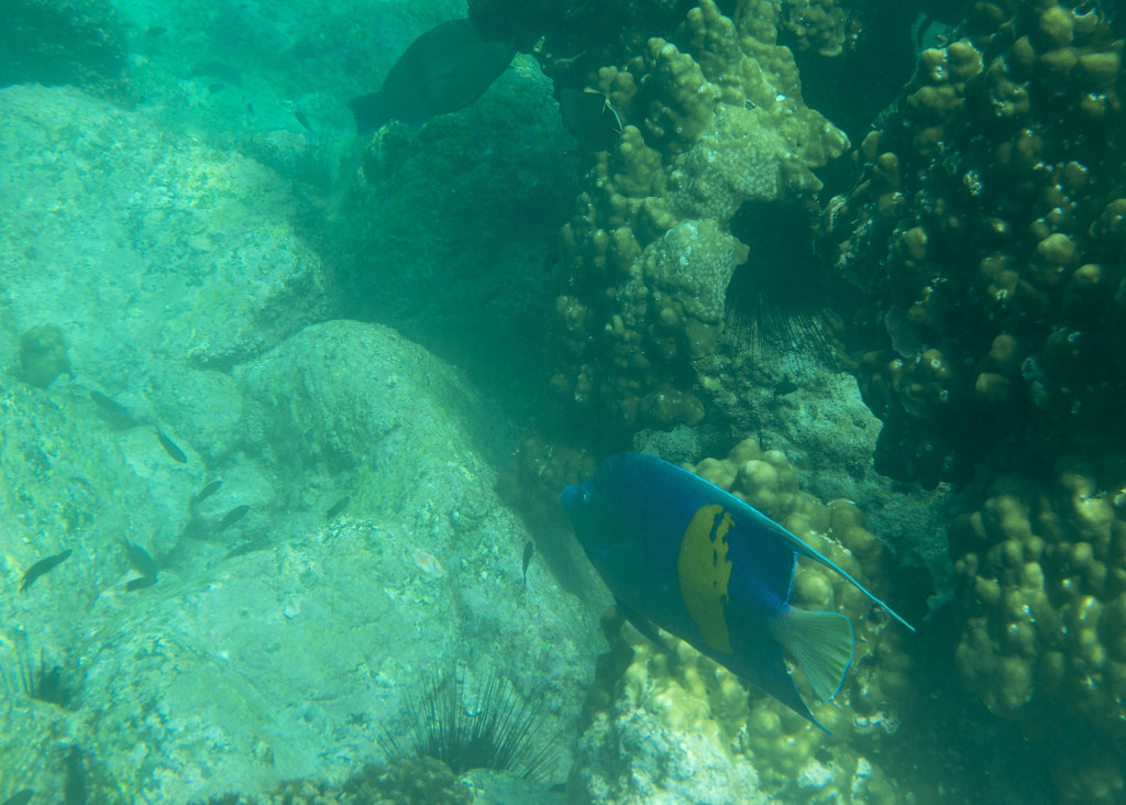 Abu Dhabi Locals Reveal Best Weekend Events July 10-12